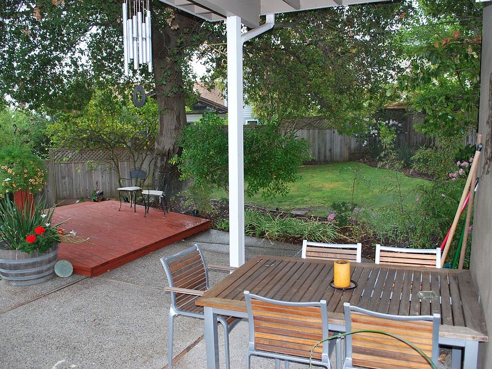 Back yard