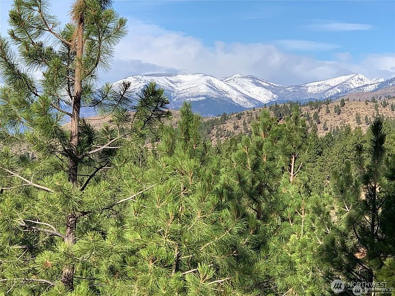 2nd image of 0 NNA Cooper Mountain Road