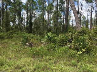 827 Rixey St E, Lehigh Acres, FL 33974