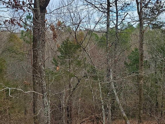 4th image of Polk Rd #197