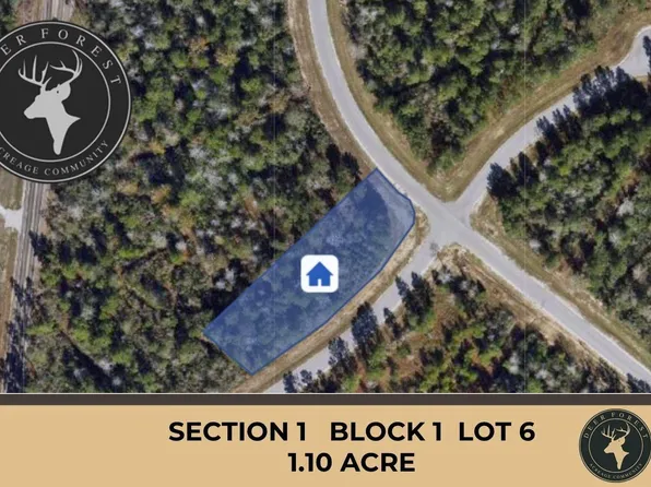 127 Gypsum Rd Lot 6, New Waverly, TX 77358