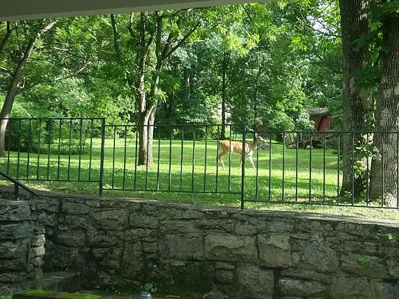 Back yard
