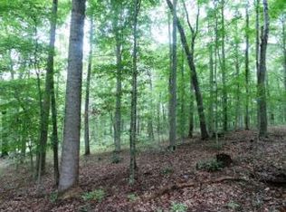 0 Childress Ferry Rd, Blountville, TN 37617