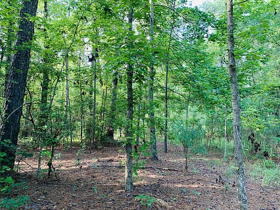 Betaw Road Parcels-Interior