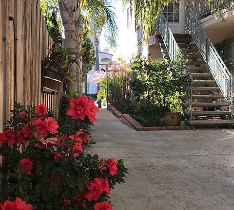 Front steps