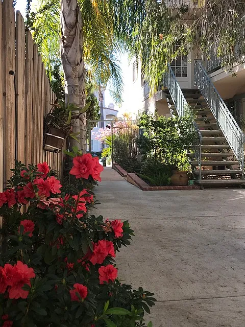 Front steps