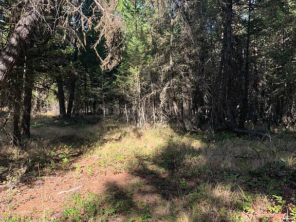 5th image of LOT 1 Moonshine Mountain Trl