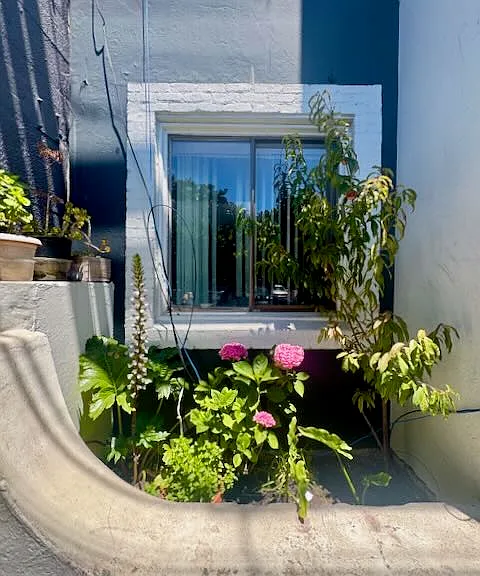 17 Decatur St #7 — Photo 3