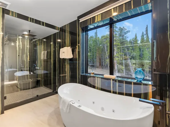 316 N Fuller Placer Road, Breckenridge, CO 80424