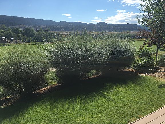 View to Golf Course fr. Back Deck
