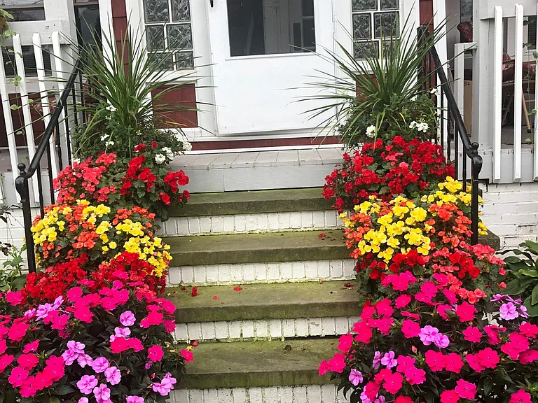 Summer gardens in front