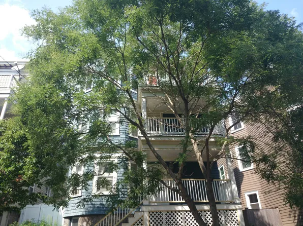 55 Downer Ave #1, Dorchester, MA 02125