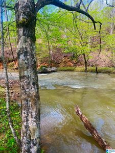 0 County Road 8 #XX, Piedmont, AL, 36272