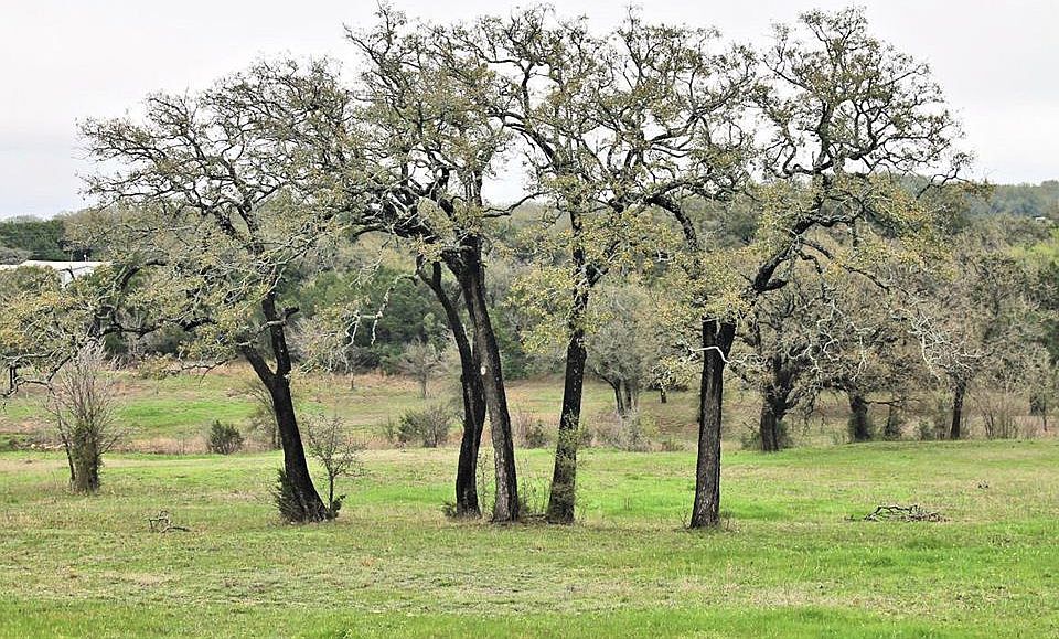 1st image of 3 County Road 2027