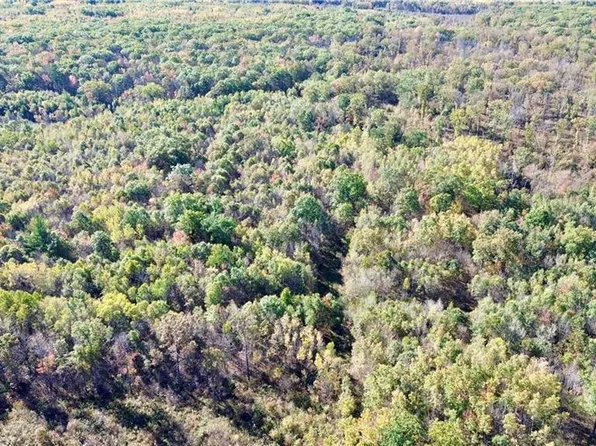 0 Sherwood Road, Pittsville, WI 54466