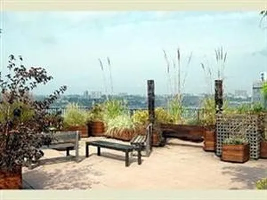 Rented by Douglas Elliman | media 9
