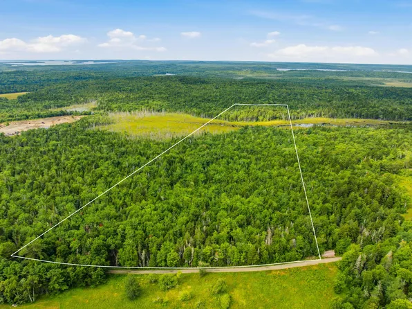 Lot 24B Ridge Road, Whiting, ME 04691