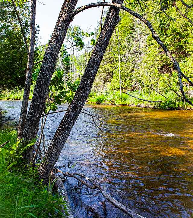 6547 Haz Dr, Afton, MI 49705 MLS 471465 Zillow