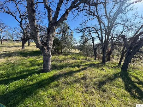 16495 Hill Crest Rd, Corning, CA 96021