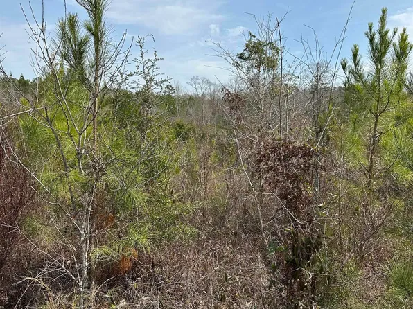 0 Gumball Ln, Coffeeville, AL 36524