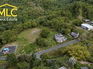 240.1 Carr #641, Florida, PR 00650