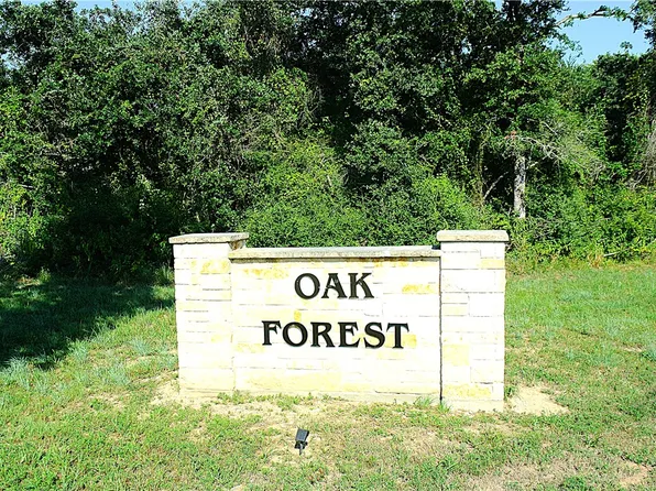 LOT 14 Sawmill Rd, Franklin, TX 77856