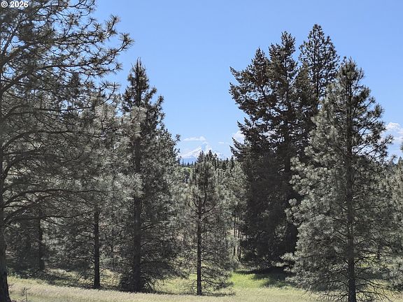 3rd image of 41 Mountain View Rd
