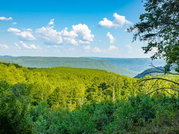 0 High Ground Rd Lot 2218, Guild, TN 37340