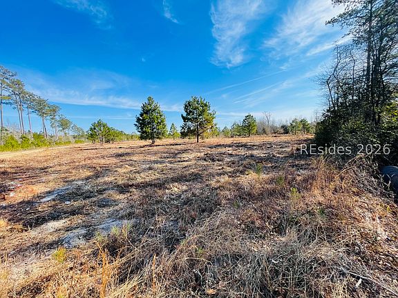 3rd image of 0 E Gillisonville Rd