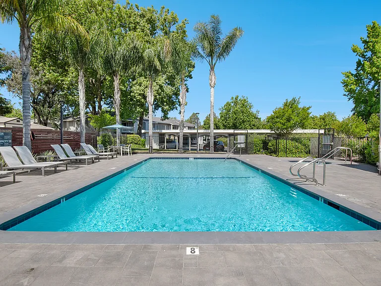 Vue at the Lake — Photo 13