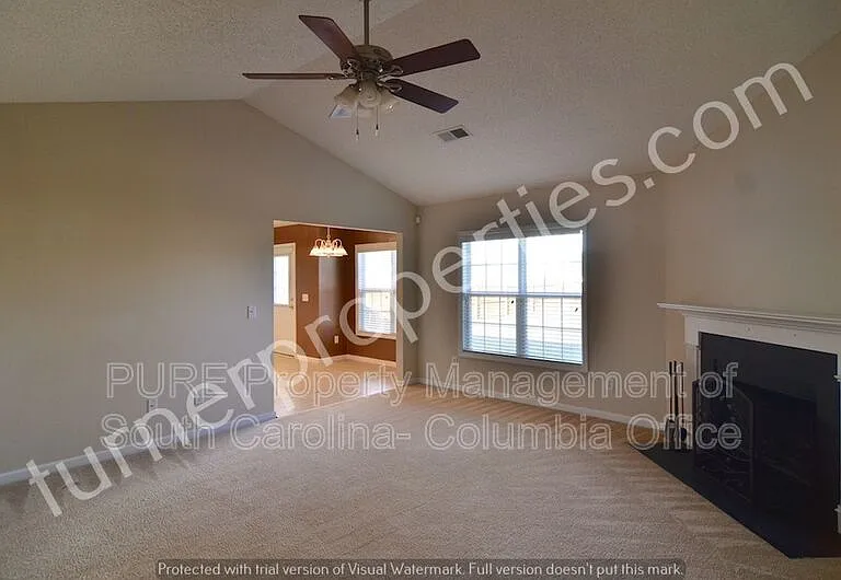 203 Summit Springs Dr — Photo 9