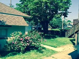 Back yard - 1008 Mifflin Ave #2
