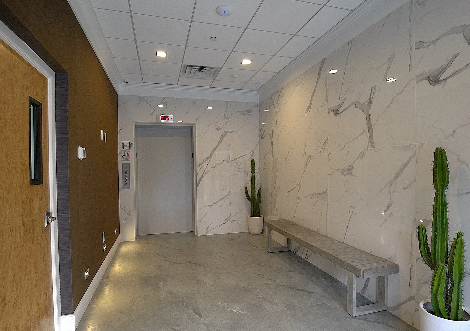 Knox at 100 Polk — Photo 3