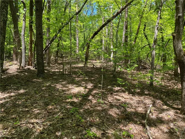 111 Bearpaw Trl, Sunset, SC 29685