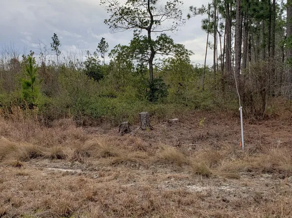 519 Barnes Blueberry Rd, Elizabethtown, NC 28337