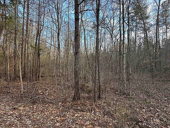 5th image of Dell Arbor Cir