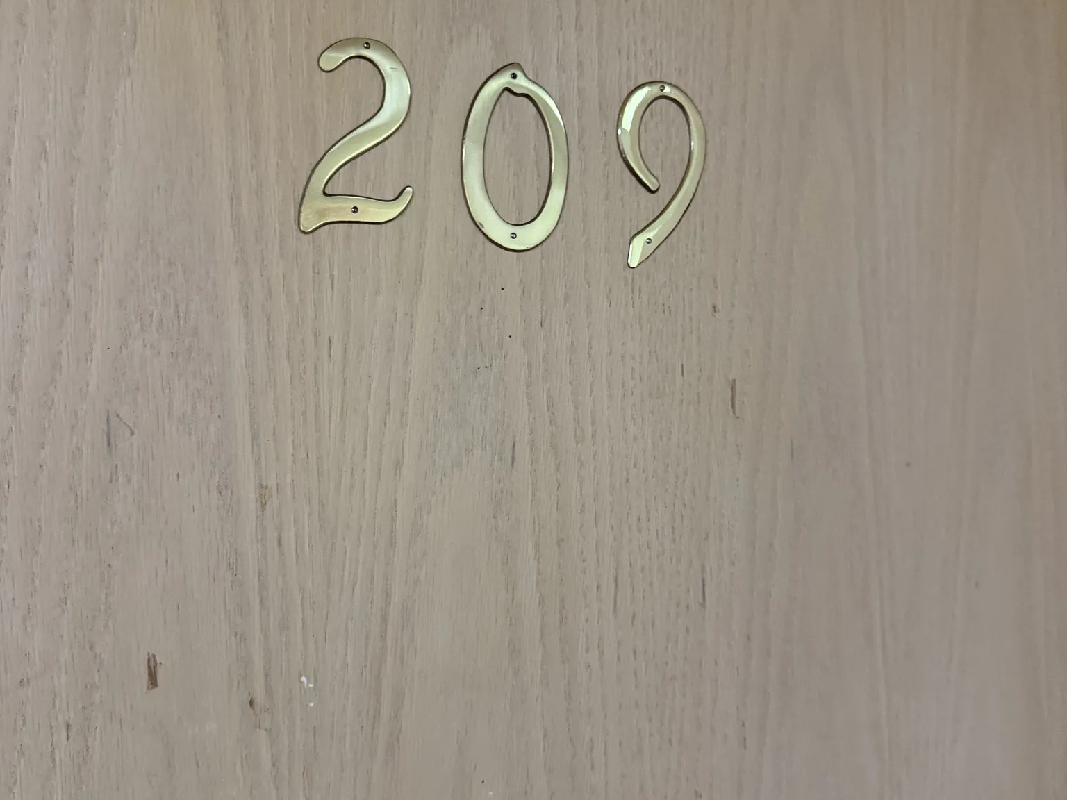 1230 Woodland Drive - 209 — Photo 2