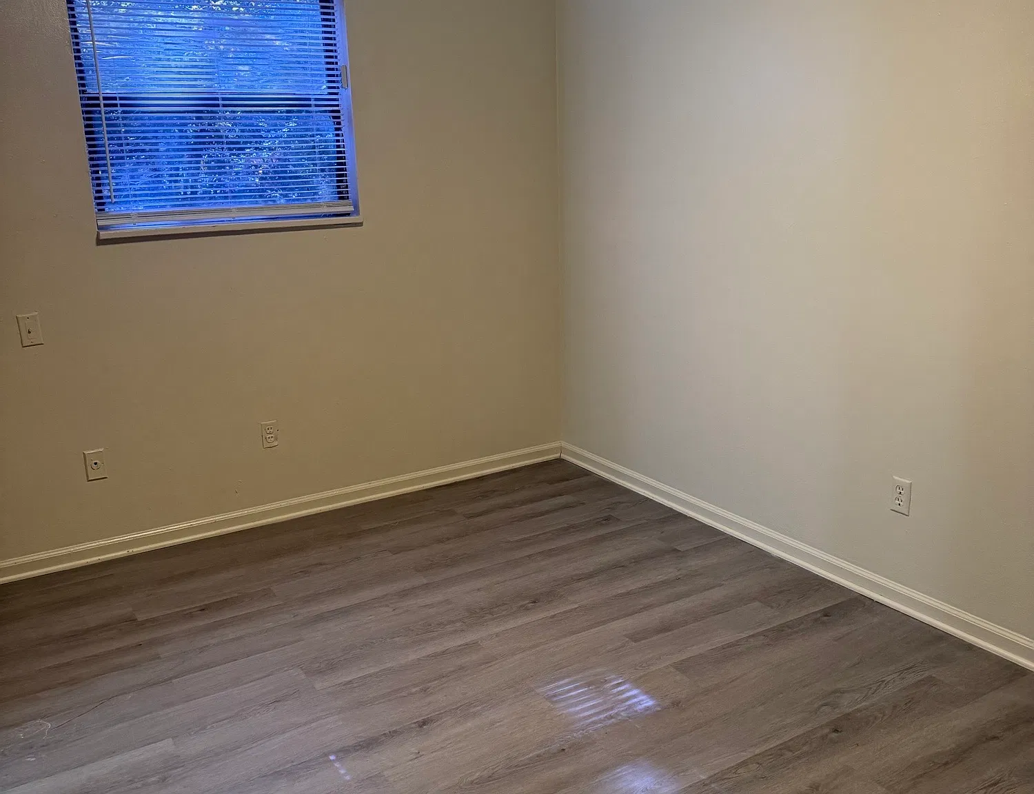 1 bed, $850 — Photo 4