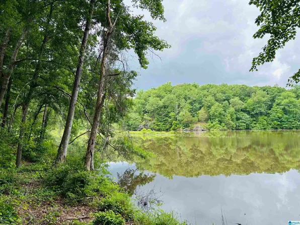 8 County Road 499 Lot 8, Woodland, AL 36280
