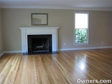 Natural fireplace with marble surround