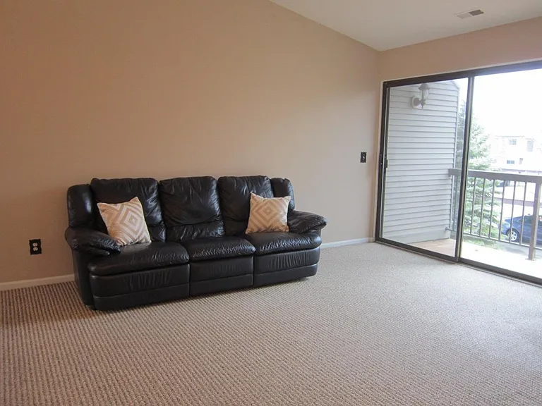 42697 Lilley Pointe Dr — Photo 15