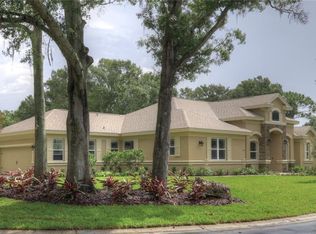 226 Lotus Dr, Safety Harbor, FL 34695