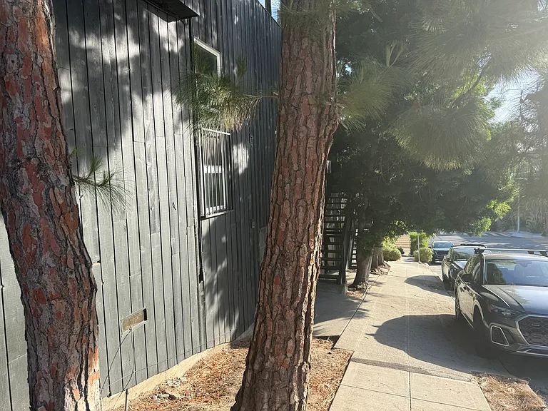 2428 Beverly Ave #A — Photo 29