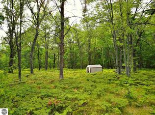 Brown Rd, Cadillac, MI 49601