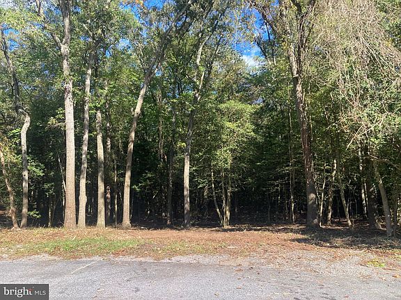 4th image of Wildwood Trl Lot 22