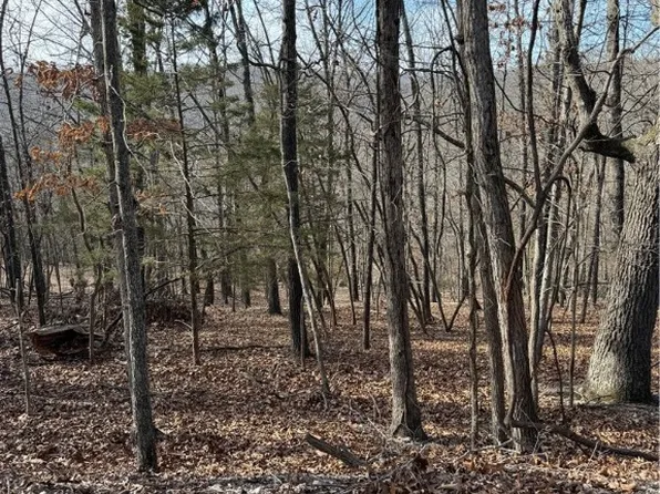 LOT 76 Shady Glen Rd, Garfield, AR 72732