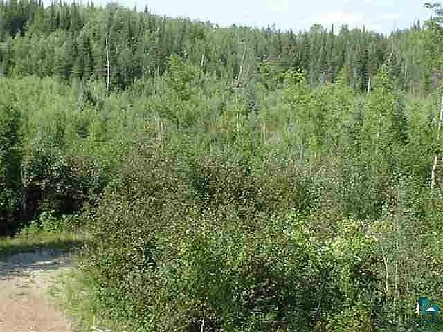 2nd image of 000 Mud Creek Rd