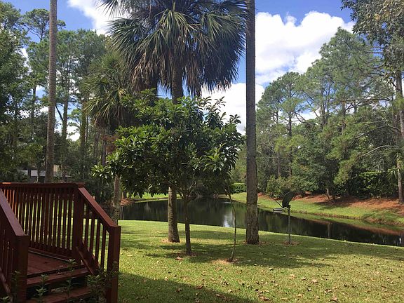 Back Yard View