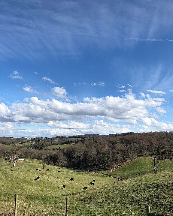 Peaceful long range views