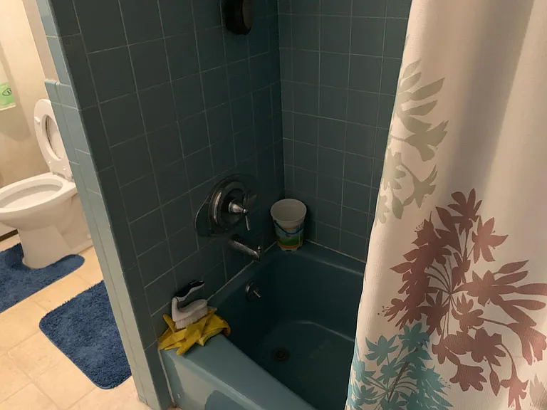 Downstairs Full BathRoom (1) - BathTub / Shower
